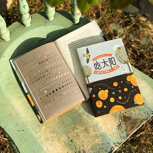 吃太阳 心游宇宙万象的51个瞬间《纽约时报》畅销书作家 宇宙自然科普绘本 后浪正版 商品图3