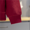 李宁男子2025秋季男女同款故宫联名套头连帽运动上衣健身卫衣AWDV839-1 商品缩略图3