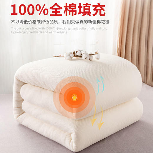「新疆直发」新疆忆恋莱长绒棉花被 3斤-10斤 多规格可选 商品图0