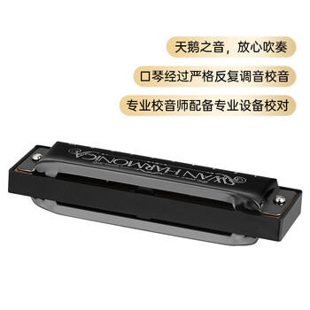 天鹅（SWAN）10孔布鲁斯口琴C调学生儿童初学者入门蓝调口琴乐器黑色 商品图3