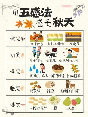 让孩子学会用“五感法”感受秋天