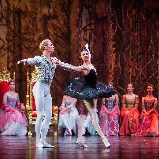 【5折·钜惠】12月22日 广州·《天鹅湖》芭蕾舞剧 |传奇归来 ！芭蕾舞界永恒经典，今冬热烈回归！ 商品图1