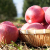 有机富士苹果 | 公平贸易 | 基地直发*Organic Fuji Apples 商品缩略图1