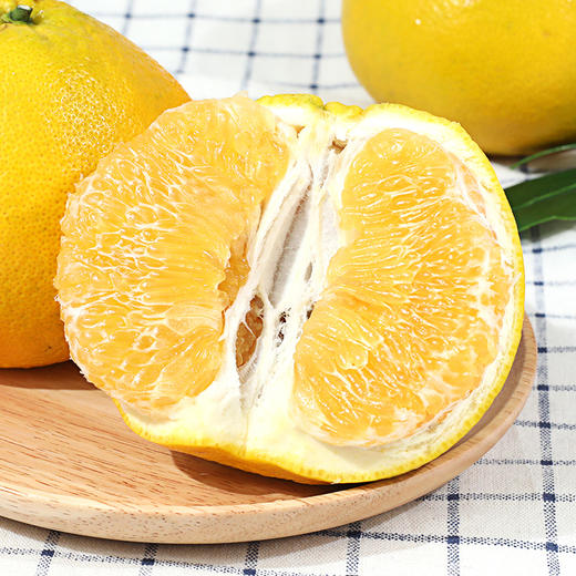 福建黄金葡萄柚 YQ045 商品图0