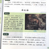 山海经（彩图版） 商品缩略图3