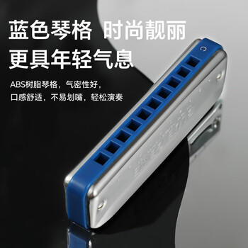 通宝（TOMBO）口琴日本进口音簧7610布鲁斯PADDY调音10孔口琴成人儿童初学通用 商品图2