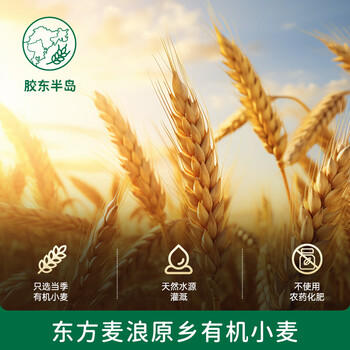 碧欧奇有机婴幼儿加钙碎碎面175g 宝宝婴儿面条6-12个月碎碎面钙铁锌 商品图2