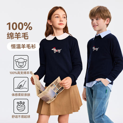 【英氏】【100%绵羊毛】【110-150】男女童秋冬羊毛衫针织衫 商品图1
