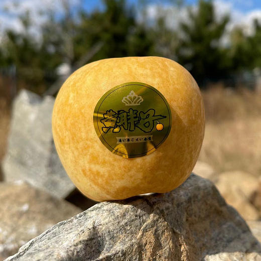 【赤炎】黄胖子维纳斯苹果2.8斤-3斤（果径65mm-70mm、约9-10颗) 商品图1