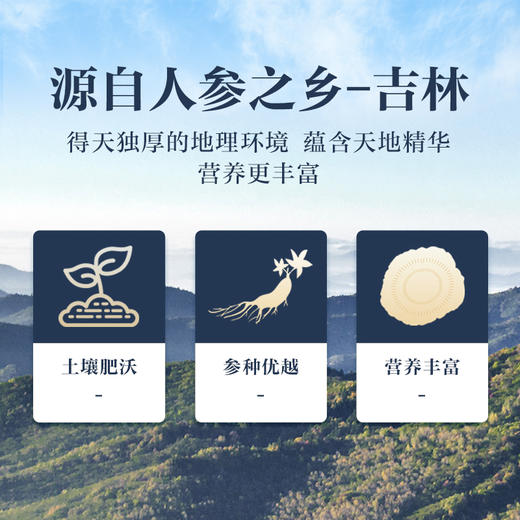 康美新开河红参粉60g（3g*20袋）/盒 足龄老参超细粉泡水冲服养生滋补 商品图1