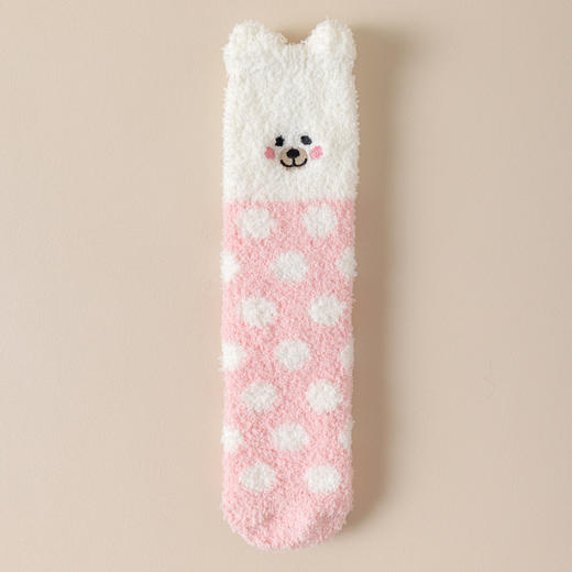 【YW】无忧购19元2双，29元5双可爱小猫小狗地板袜立体袜刺绣珊瑚绒袜子（现货发) 商品图11