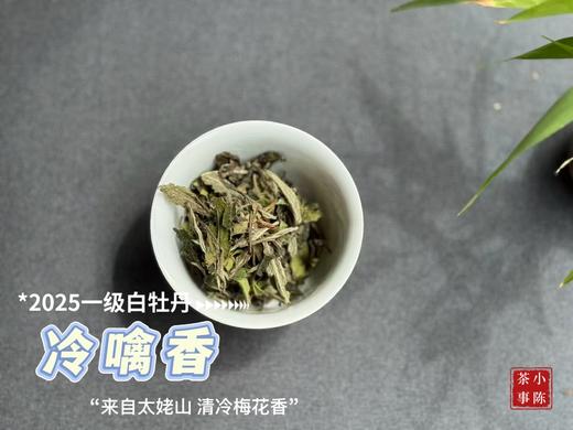【拍3送1】1个月热销600罐的2025白牡丹《冷噙香》来了，依旧是冷香幽然、冷汤香滑！ 商品图2