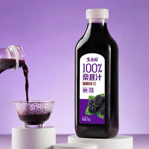 宝桑园 100%桑葚汁 765g/瓶 商品图3