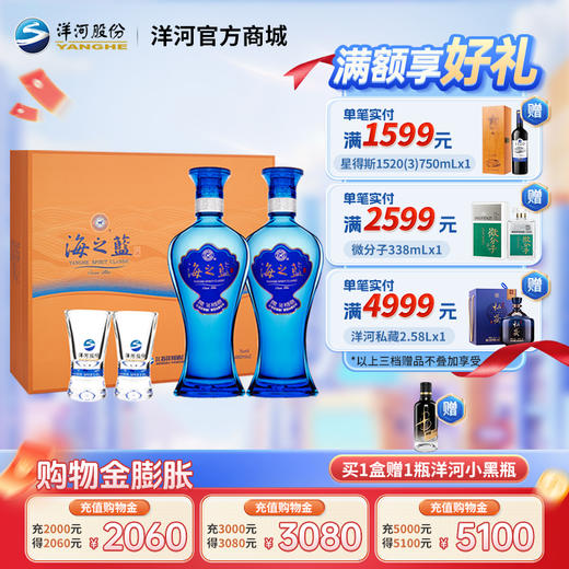 洋河 海之蓝 礼盒 42度 480mL双支装 浓香型白酒 商品图0