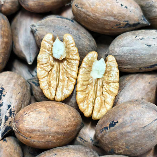 丹江口市蒿坪村原味鲜果新鲜碧根果 1斤/2斤 商品图1