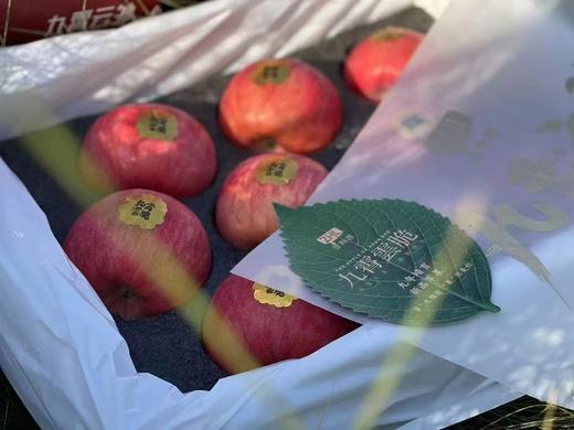 #九霄云脆🍎原始的苹果浓香，她身上可贵的气质 独有的爽脆刚刚好，脆的不费牙，香气四溢，入口便迸发出来 商品图1