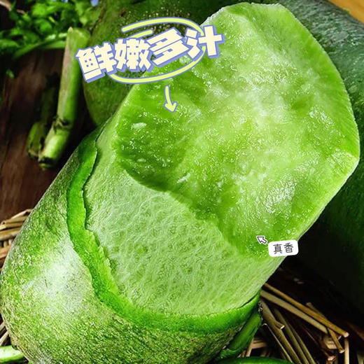 潍坊特产||水果萝卜 脆甜多汁嘎嘣脆 基地直发 可直接生吃  商品图2