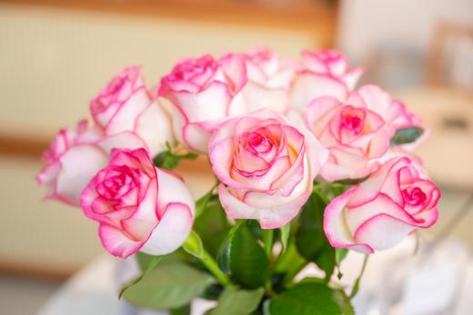 新鲜鲜花 鲜切花爱莎玫瑰10枝左右 (十堰主城区包邮) 商品图3