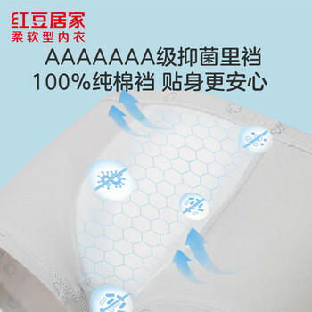 红豆居家（Hodohome）儿童内裤男童纯棉7A抑菌平角短裤中大童A类全棉内裤4条装103 150 商品图3