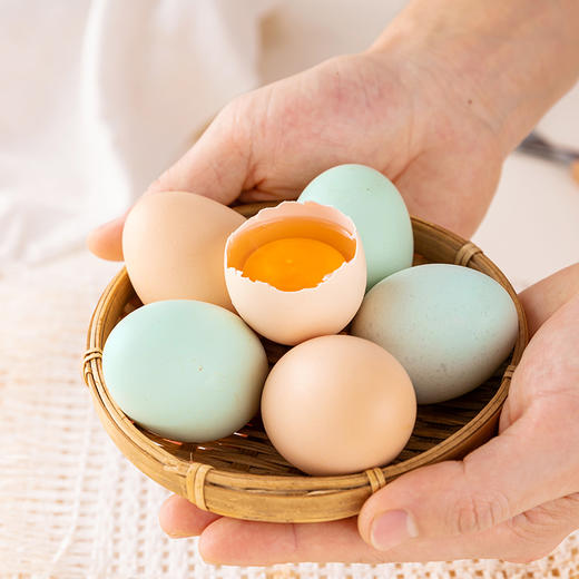 云南高原土鸡蛋 顺丰包邮 高山自由觅食放养看得见的新鲜绿壳粉壳混装30枚 商品图4