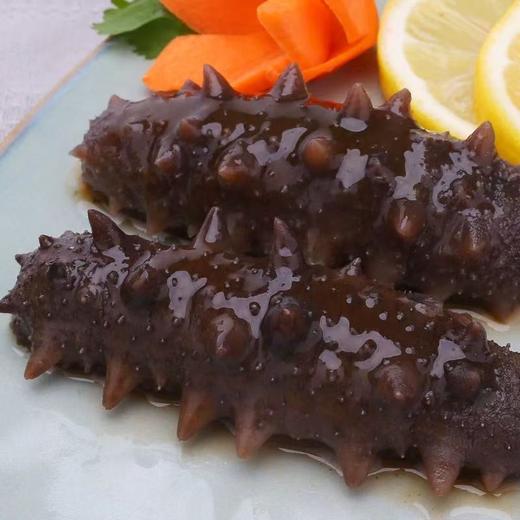 大连壮元海 双有机长海地标即食海参 商品图2