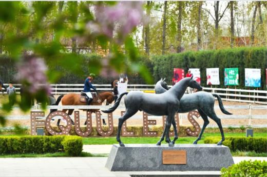 【服务定制详询】团建活动/团课定制/场地租赁 商品图1