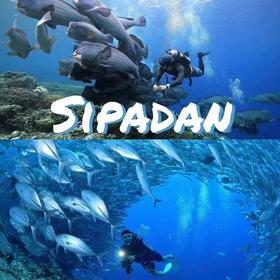 【五一假期诗巴丹】4月30日-5月4日，上帝的水族箱5天4晚9潜，8288元/人！