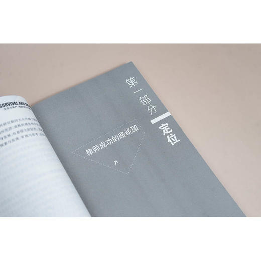 生存与尊严：律师定位与展业方法（第四版）马贺安著 法律出版社 商品图5