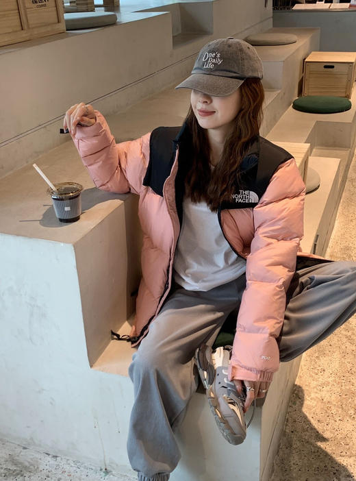 御寒必备TNF1996经典700篷400g鹅绒御寒鹅绒羽绒服 商品图1