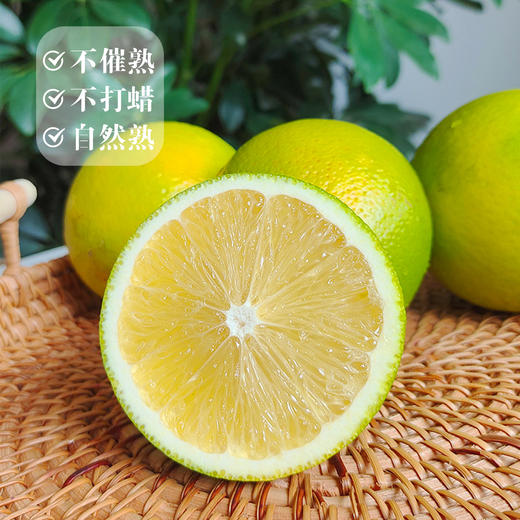 【云南哀牢山冰糖橙】新鲜冰糖橙 当季现摘青皮橙 酸甜爽口 清爽多汁 4种规格任选 商品图4