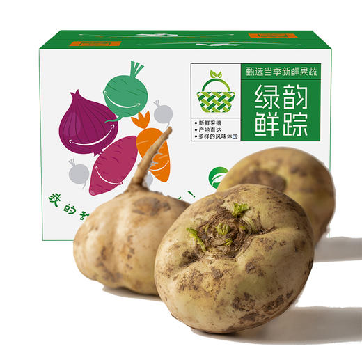 新疆戈壁的 “小人参” 恰玛古 当季新鲜果蔬  多规格可选 商品图0