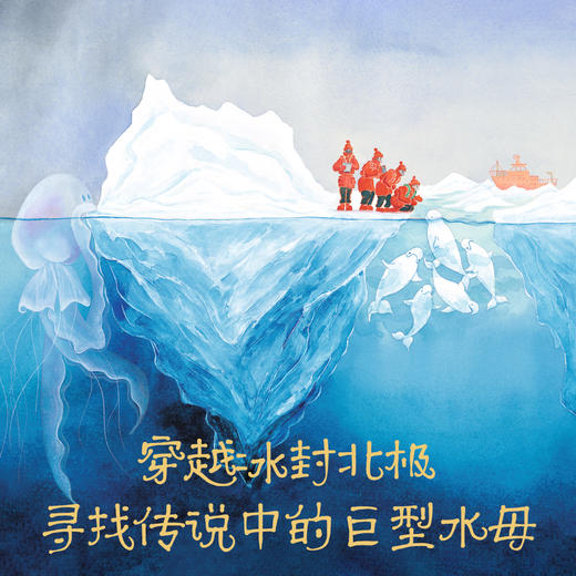 寻找北极巨型水母 商品图1