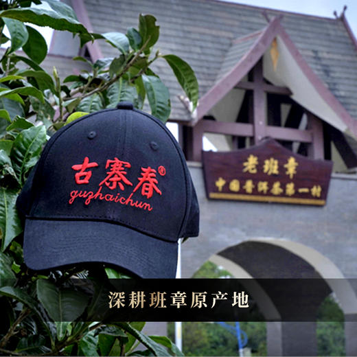 【班章散茶】2020年头春头采高品质高性价比巨献，霸气回甘撼动体身，250克/箱 商品图8