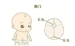 育儿知识分享-宝宝囟门