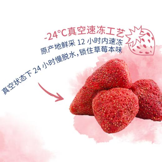 都乐（DOLE）无核红杏干45g*3/草莓冻干20g*3 果脯蜜饯办公室休闲零食儿童零嘴小吃 商品图8