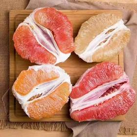 福建四大名柚 三红柚/红心柚/白心柚/黄金柚，四种颜色 一次吃到爽