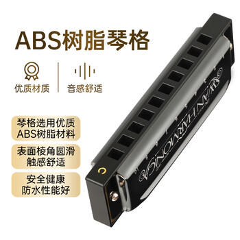 天鹅（SWAN）10孔布鲁斯口琴C调学生儿童初学者入门蓝调口琴乐器黑色 商品图2