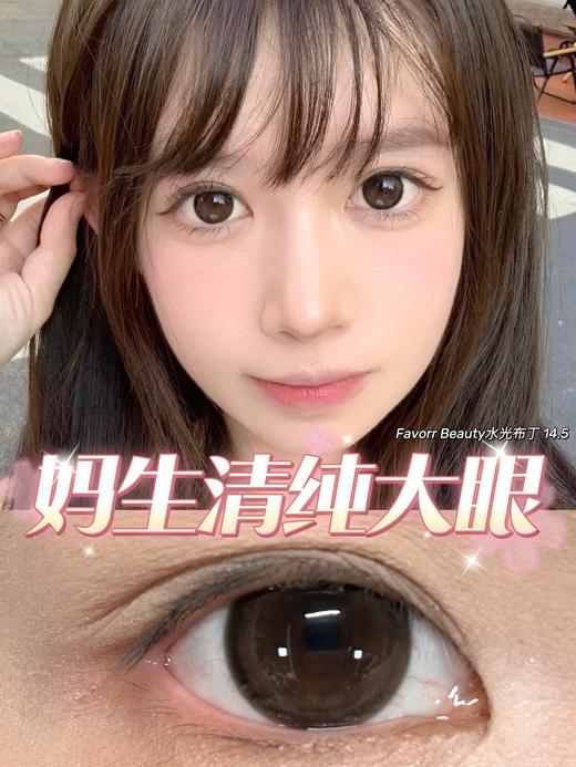 favorrbeauty半年抛 水光布丁 棕色 14.5mm 自然融瞳 商品图0