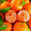 金秋砂糖橘  约500g/盒 商品缩略图3