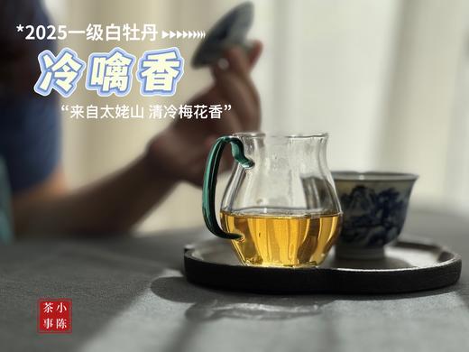 【拍3送1】1个月热销600罐的2025白牡丹《冷噙香》来了，依旧是冷香幽然、冷汤香滑！ 商品图8