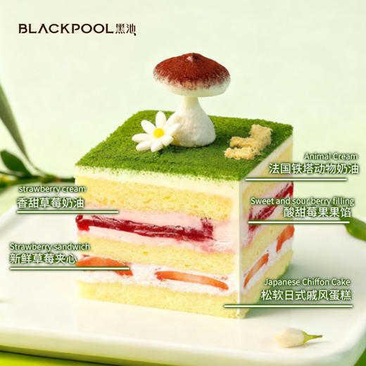 小森林（限深圳配送） | 黑池 商品图6