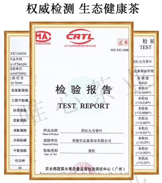 唯心精选英红九号 简装125g 英德红茶 无公害无农残无化肥 商品图5