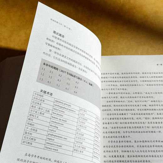 阅读的教与学 第10版 教育治理与领导力丛书 读写教学指南 商品图9