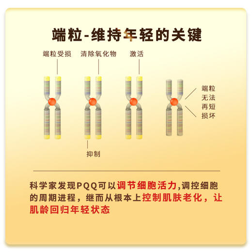 御龄之力 | PQQ 【御龄轻】 3瓶*瞬效焕活装 商品图3