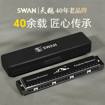 天鹅（SWAN）24孔复音口琴初学者入门学生专业演奏教学推荐口琴C调银色 商品图3