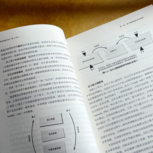 阅读的教与学 第10版 教育治理与领导力丛书 读写教学指南 商品图10