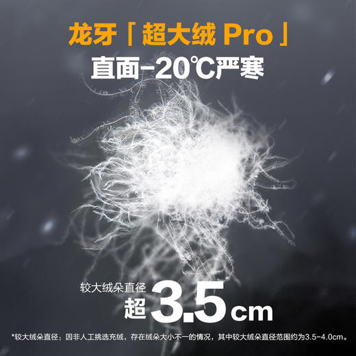 【龙牙上新】加强版龙牙战之炽虎战术连帽羽绒服加强版 商品图1