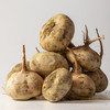 新疆戈壁的 “小人参” 恰玛古 当季新鲜果蔬  多规格可选 商品缩略图1