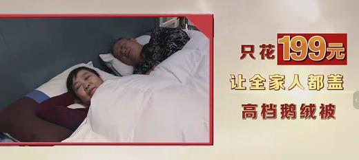 帕南笛高档鹅绒被 商品图0