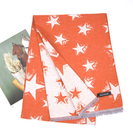 鑫缘 全真丝拉绒围巾 HB4609A 商品图13